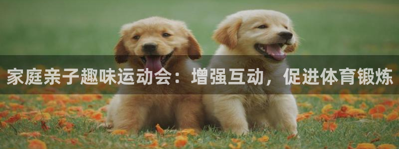 oety欧亿