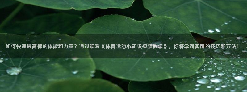 oety欧亿