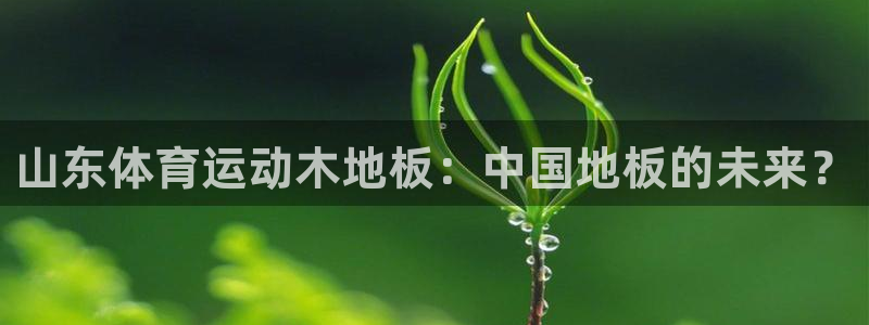 oety欧亿