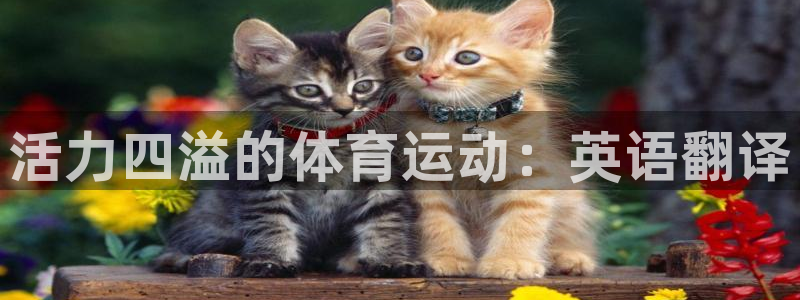 oety欧亿