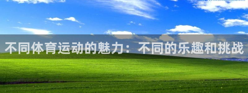 oety欧亿
