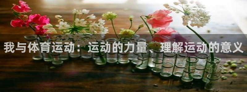 oety欧亿