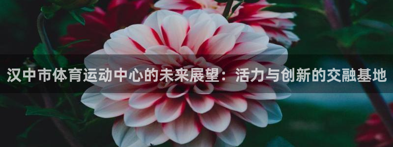 oety欧亿