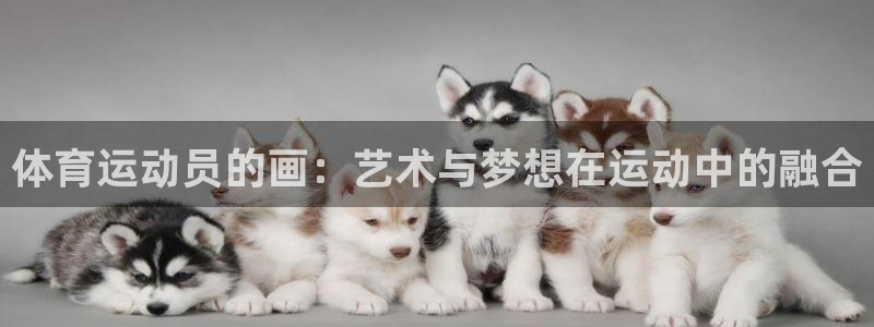 oety欧亿