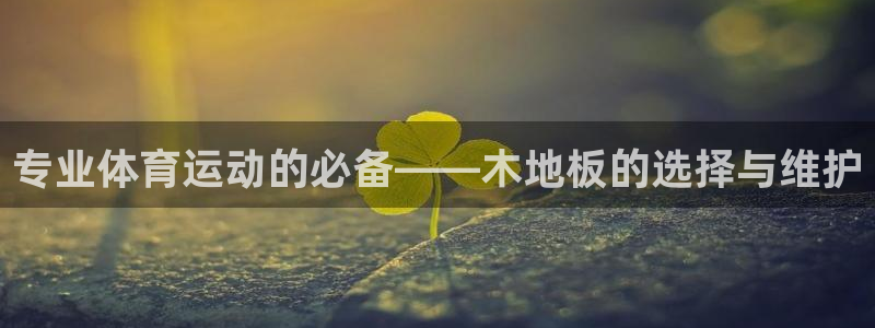 oety欧亿