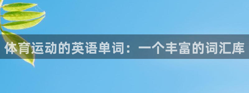 oety欧亿